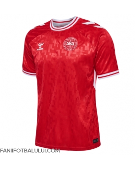 Danemarca Tricou Fotbal Replică European 2024 Barbati Acasa
